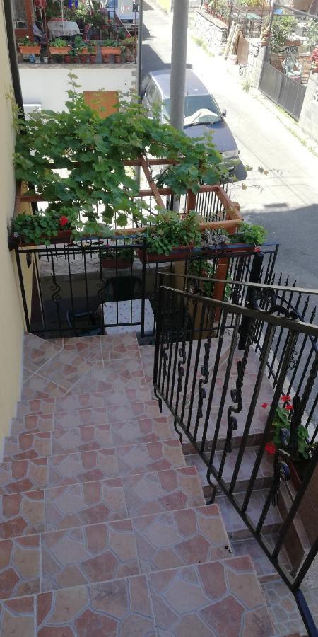 Guest House Ares ソゾポル エクステリア 写真